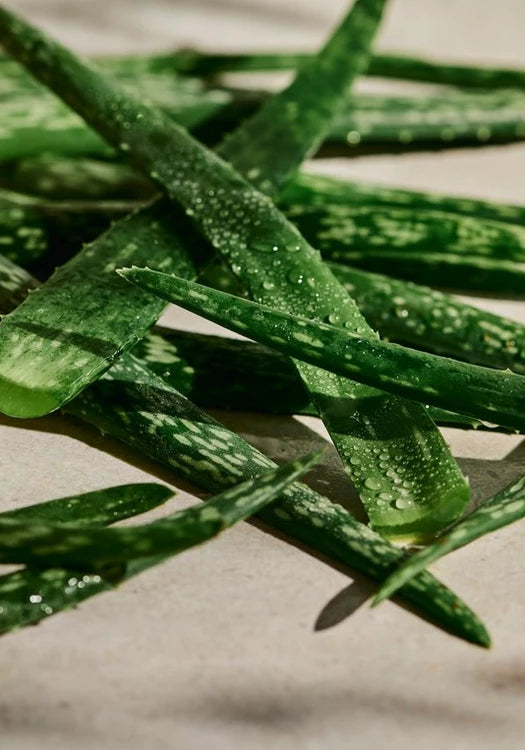 Aloe Soothing Toner